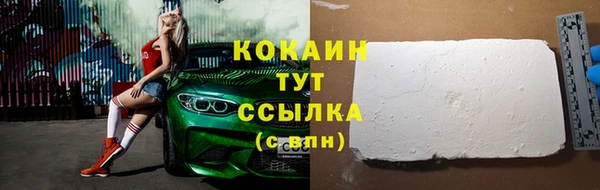 ECSTASY Богородск