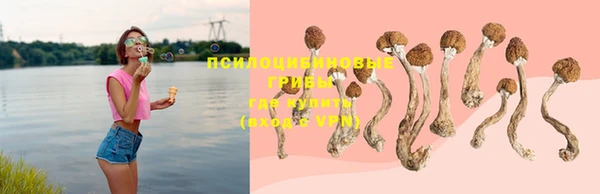 стафф Богородицк