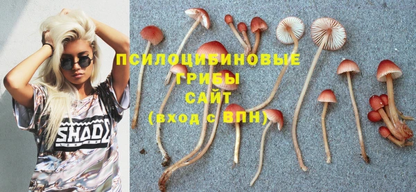 a pvp Белоозёрский