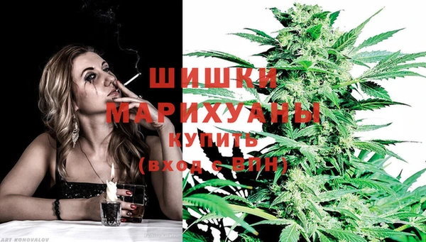 стафф Богородицк
