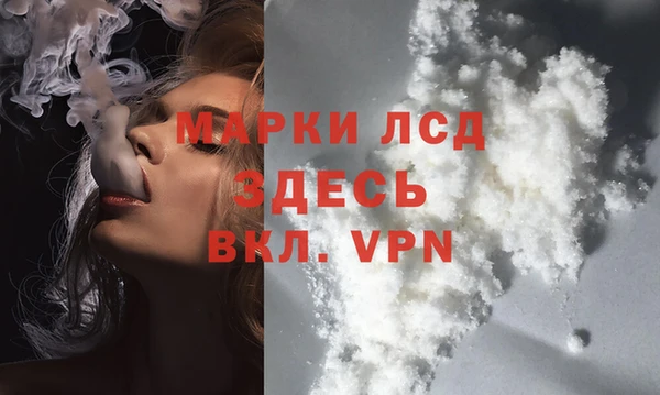 стафф Богородицк