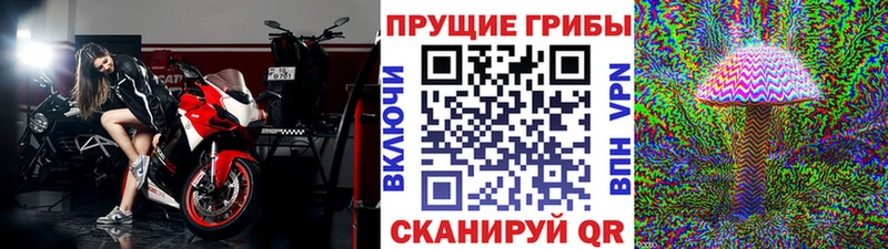 mega сайт  Валдай  Галлюциногенные грибы Psilocybine cubensis 